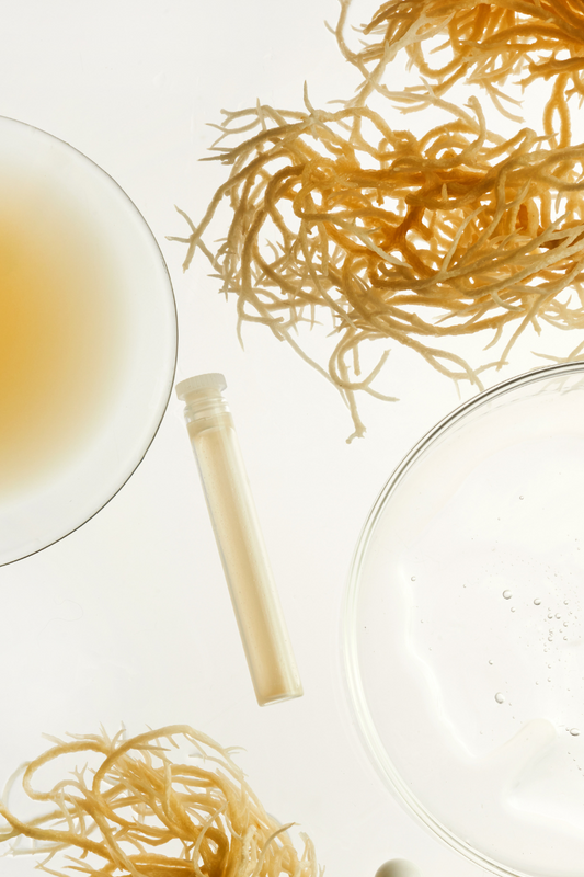 The Chemistry of Sea Moss: How It Boosts Hair Strength