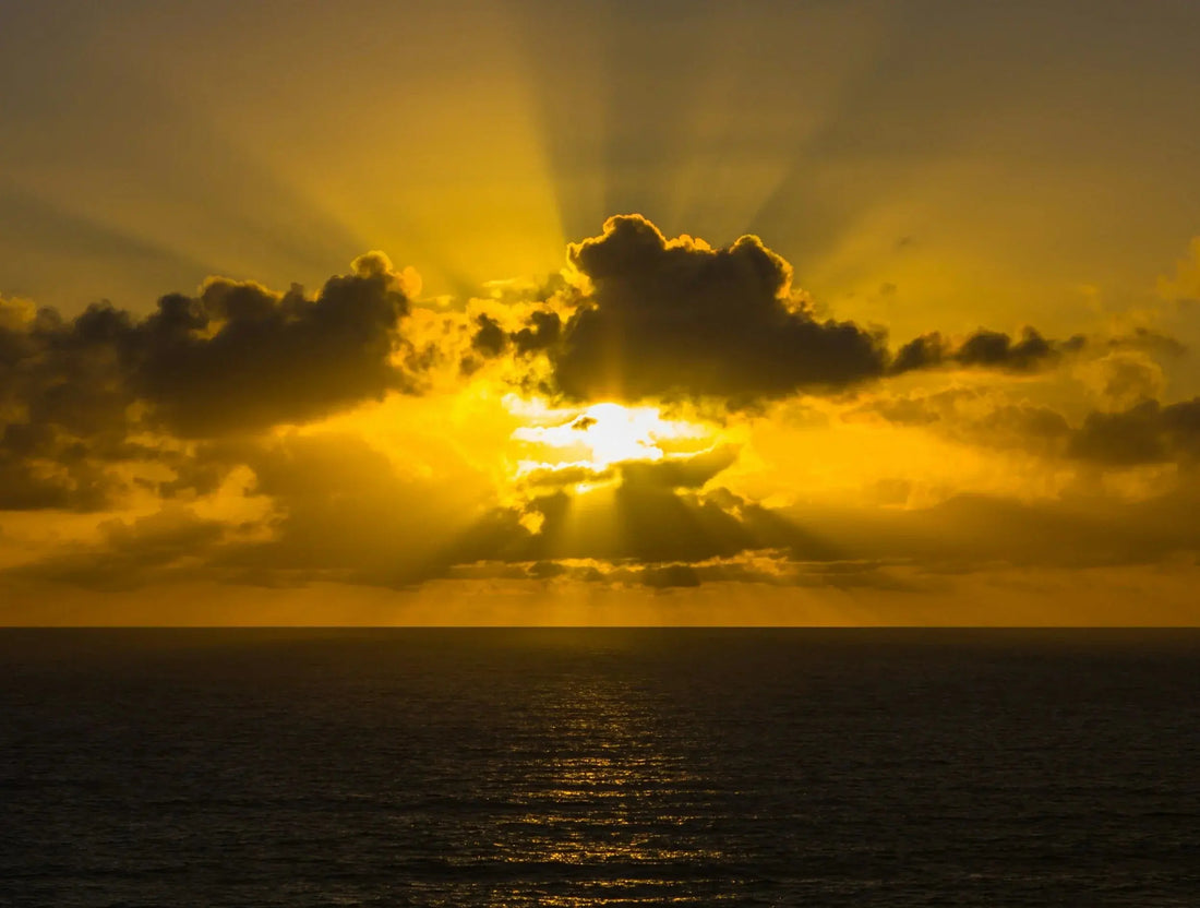 My coming to Jesus moment Naturally Created 4 You