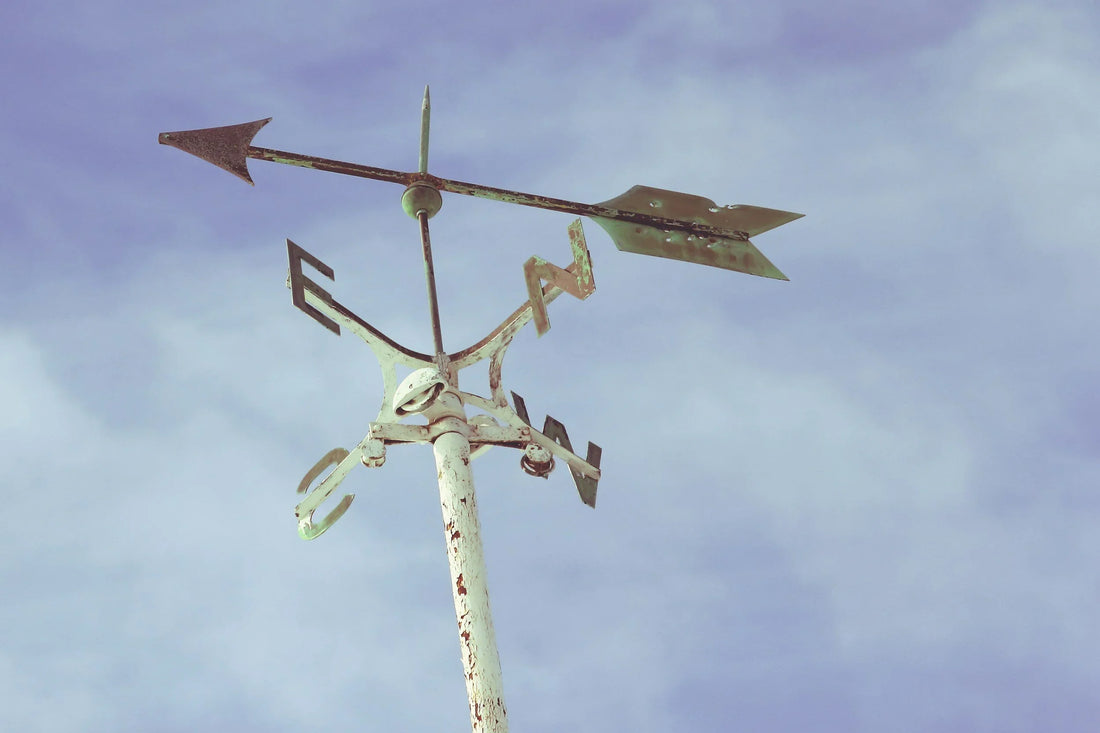 What’s the motive?