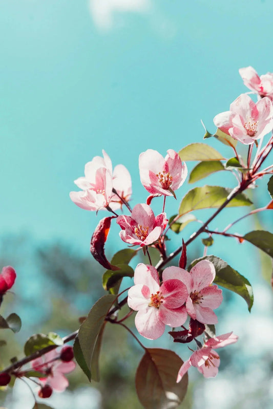 Lessons of loss Naturally Created 4 You