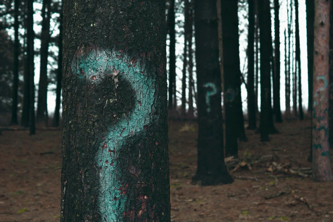 What if we aren’t supposed to know? Naturally Created 4 You
